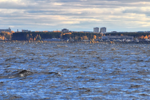 Доброе утро ⛅
Фото: Андрей Колегов