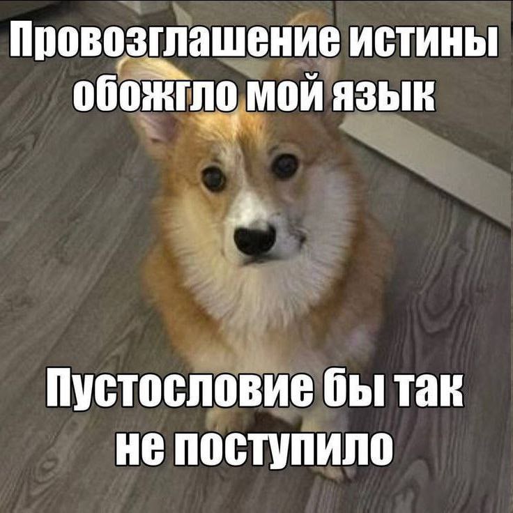 Утренняя подборочка