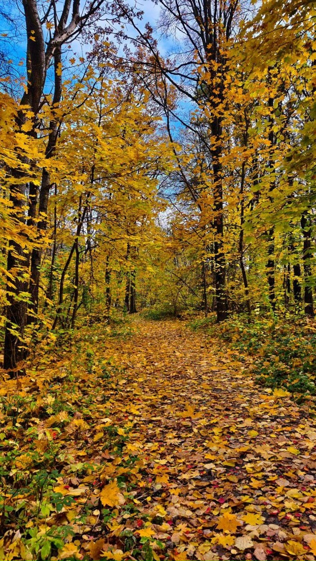 Чудесные осенние пейзажи нашей области