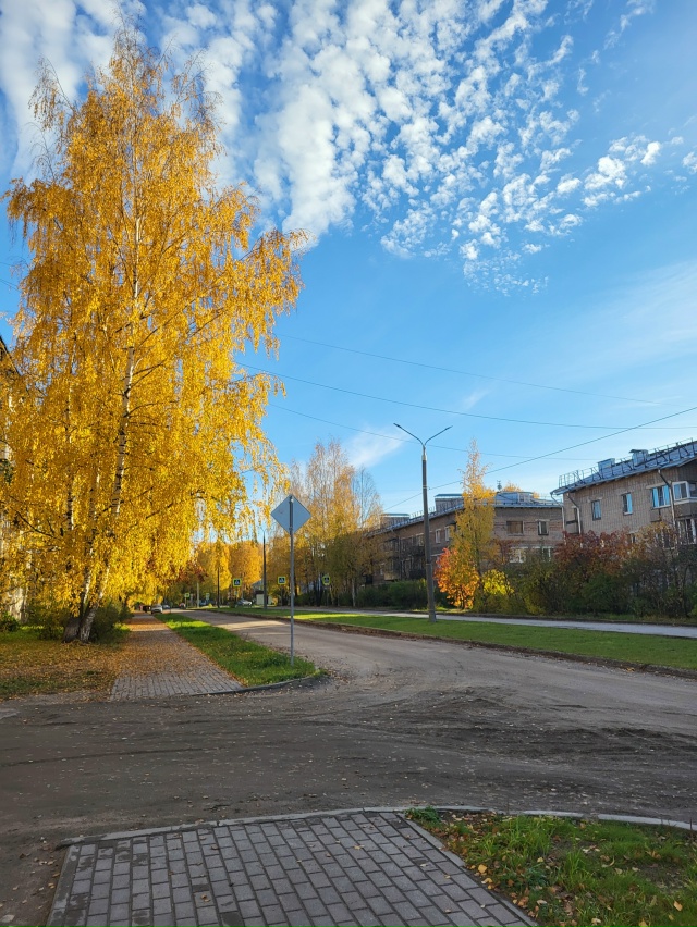 Доброе утро, Вельск! ☀
📸: Оксана Попова