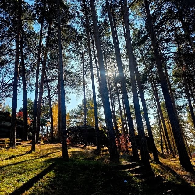 Осенние пейзажи🍂