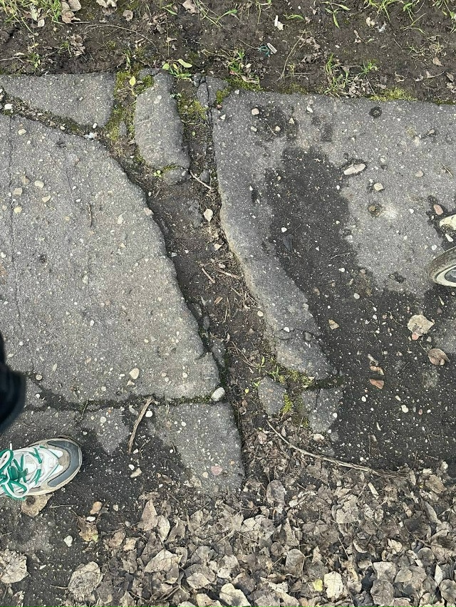 Уважаемая администрация сделайте пожалуйста тропинку...