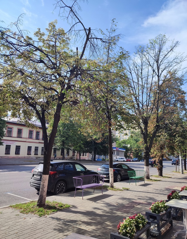 🗣️Скоро на проспекте Революции совсем не останется л...