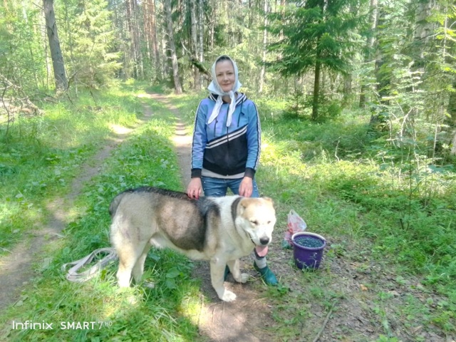 Сегодня в садоводстве 
