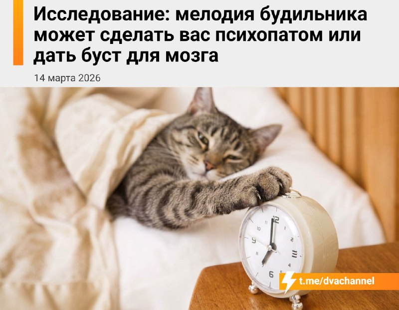 Учёные доказали, что обычная мелодия будильника реально решает, как пройдёт ваш день — неудачный зву