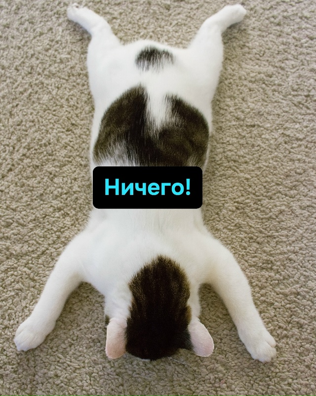 Великая усталость приходит не от дел, а от осознания их...