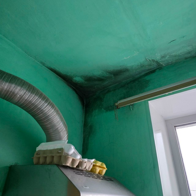 подписчица сообщает: 