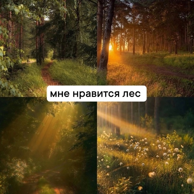 Два разных мира...