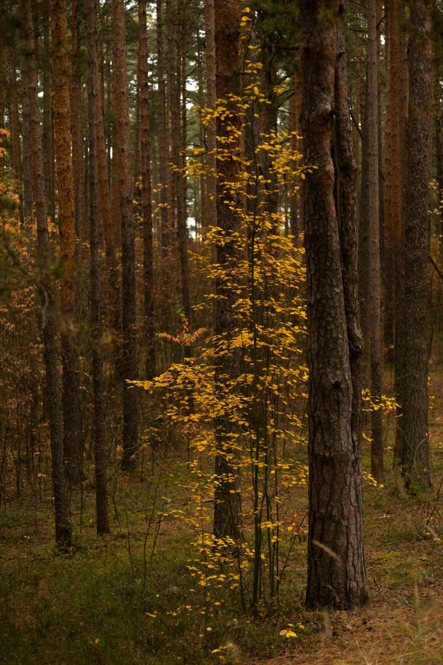 Доброго утра, Никольск❤