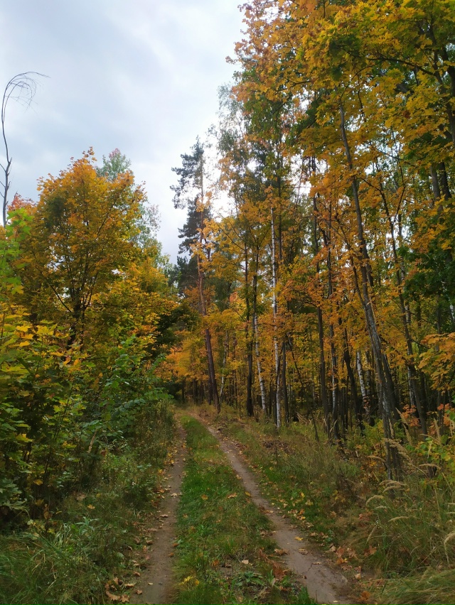 Доброго утра, Никольск❤