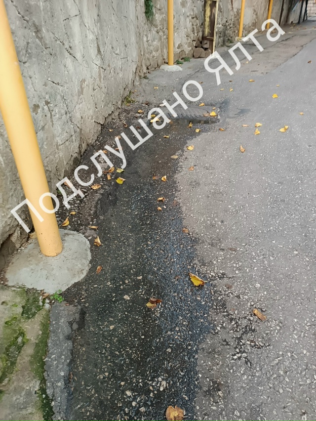 🆘‼️Помогите! Утопаем в нечистотах!
На улице Н.Лисано?...