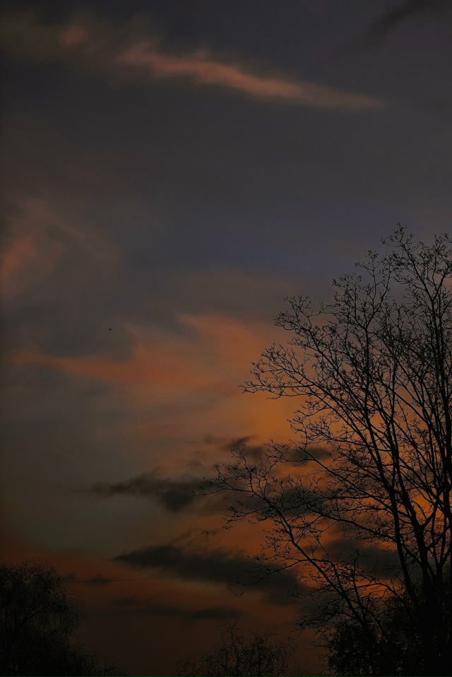 Доброе утро✨