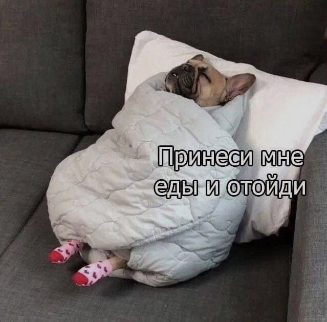 Ночная подборочка
Спать, режим