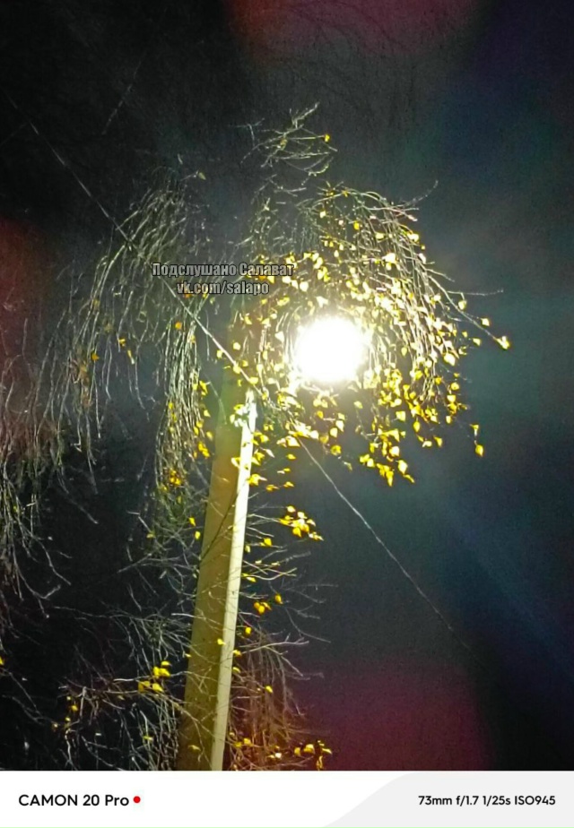 😍Не смогла пройти мимо такой красоты! 48 квартал, 30 лет...