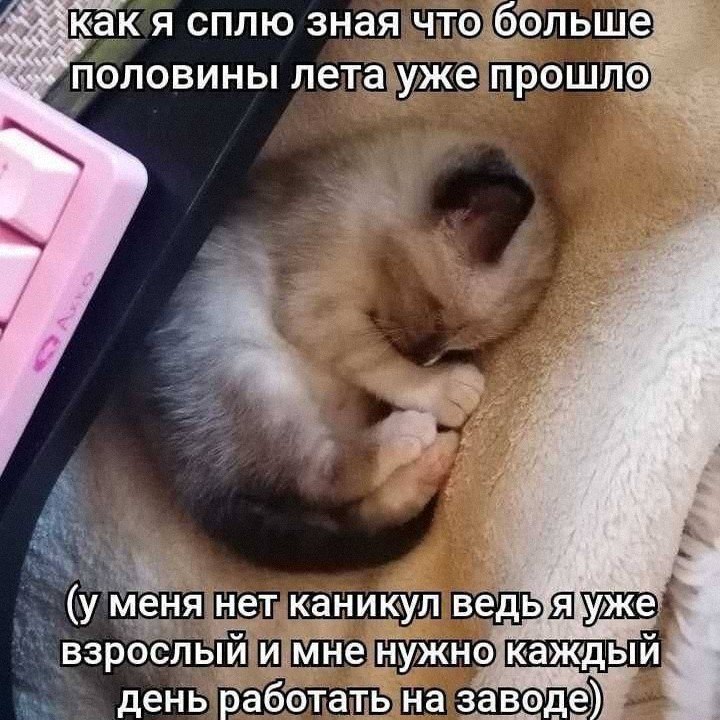 Утренняя подборочка