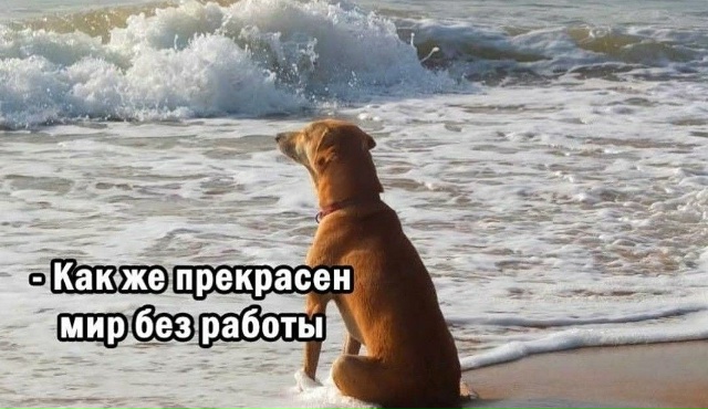 ?️ В Госдуме предлагают не считать выходные за дни от...