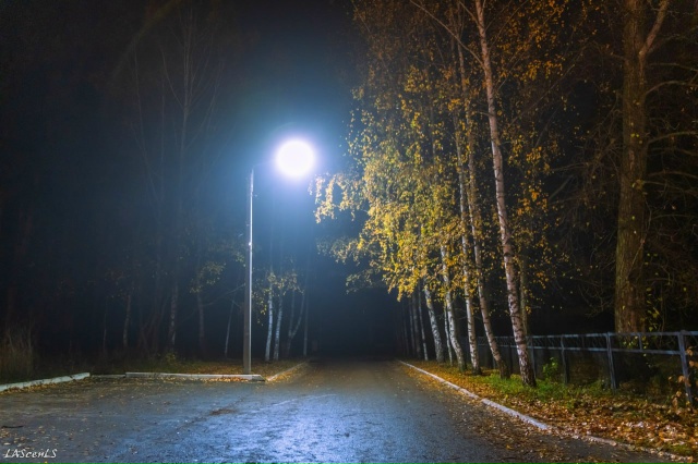 Туманная ночь.
Фото: Юрий Жарков