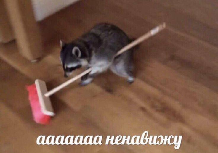 мое обычное состояние, когда пришло время драить хату перед нг: