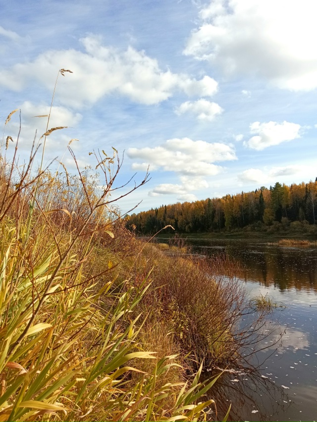 Доброе утро, Сосногорск😊 🍁