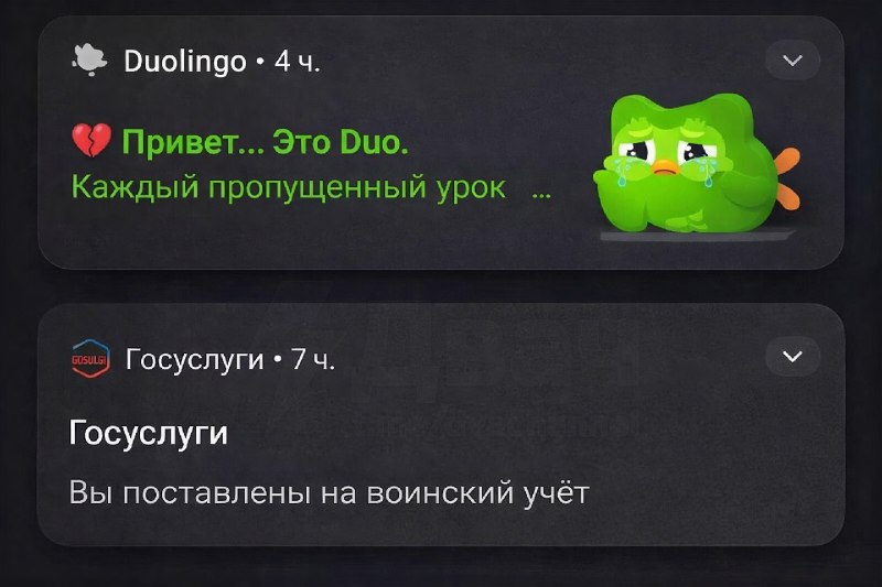 Совёнок Дуо, ты чего…