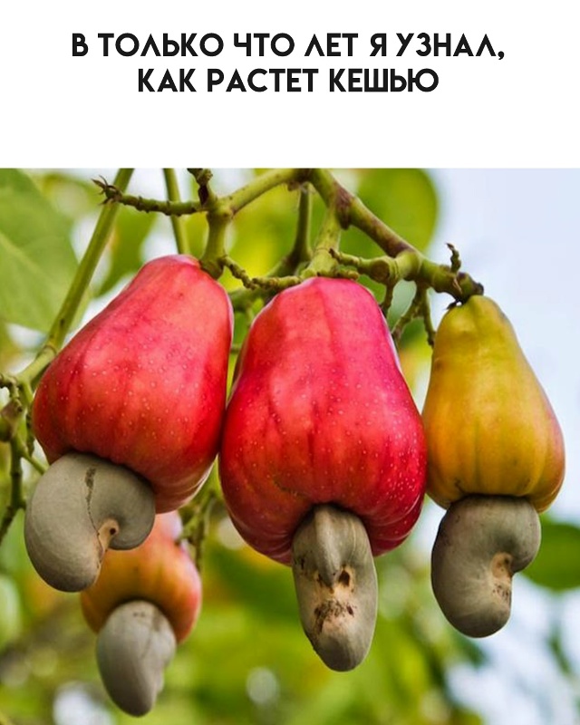 Время открытий.