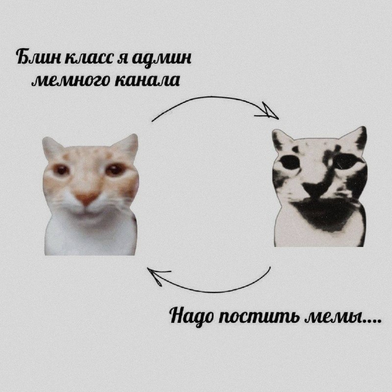 Ночная подборочка
Выходные, не спим