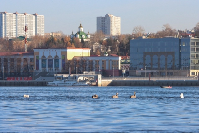 Лебеди на Каме 🦢
📷 Денис Исаков