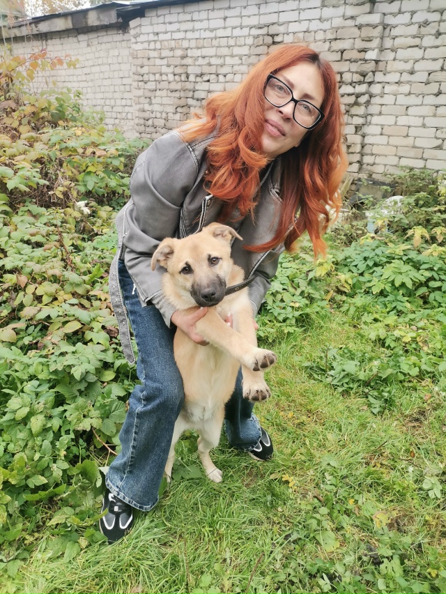 В поиске дома две очаровательные красотки-Дина и Джерр...