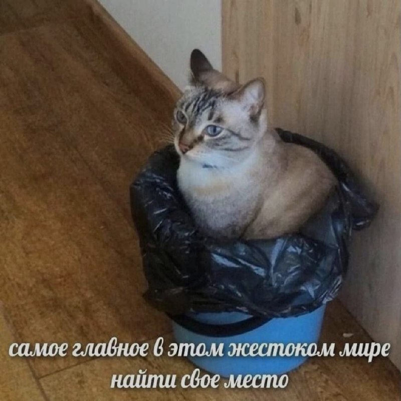 Ночная подборочка
Спать, режим