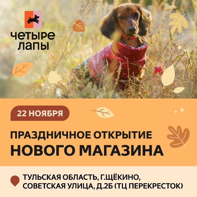 Приглашаем Вас и Вашего питомца на праздничное открыт?...