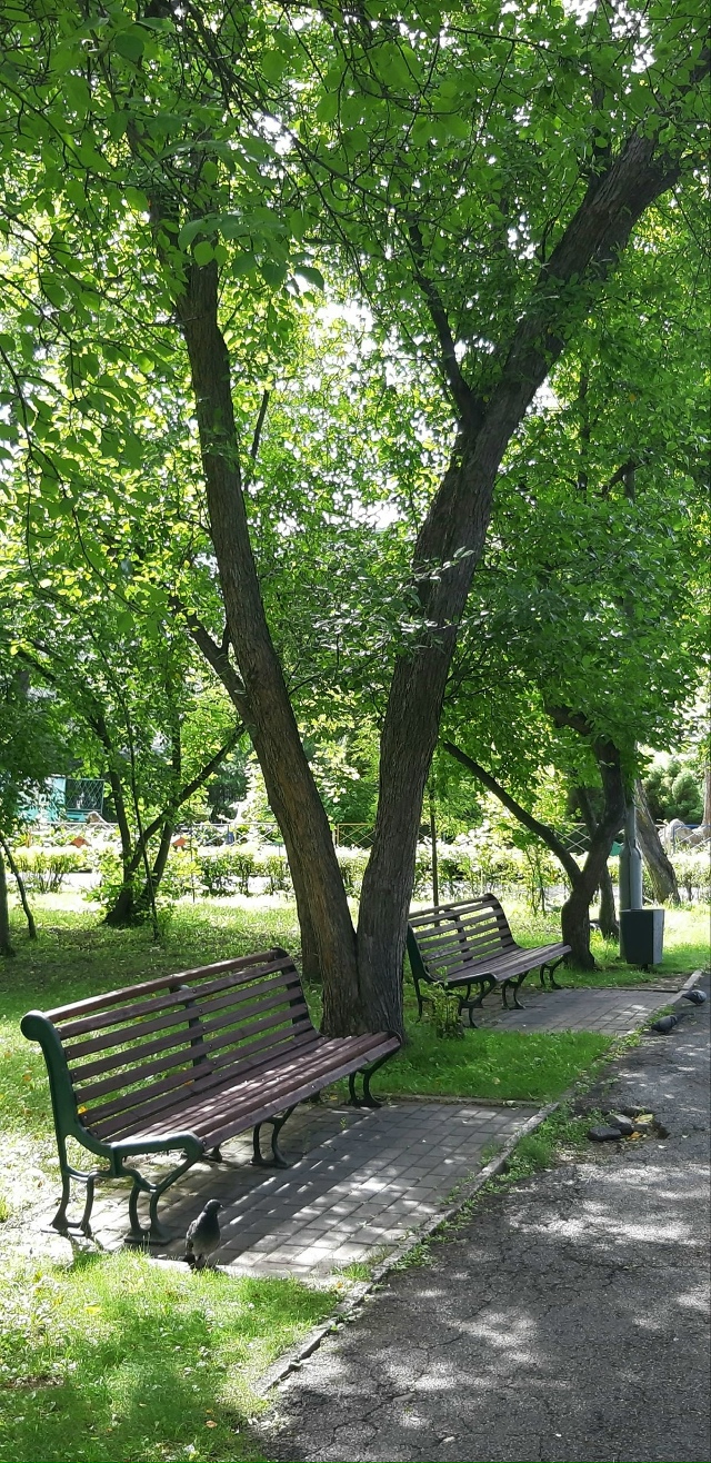 Сaд Κиpoвa