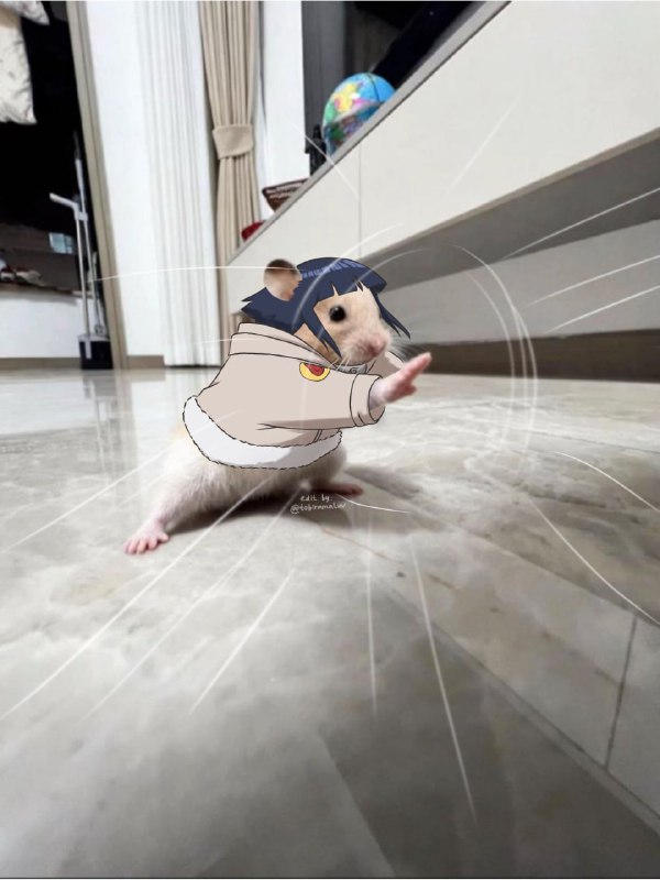 🐹Я написала маме вопрос: "Как поживает хомяк у моих родителей?", и она прислала мне эту фотографию