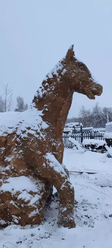 Якутский навозный скульптор слепил символ 2026 года — лошадь из коровьего говна
С декабря начал леп