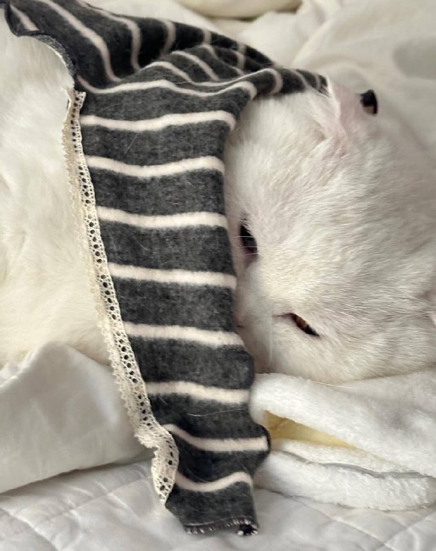 Укутываемся потеплее и спотб :3