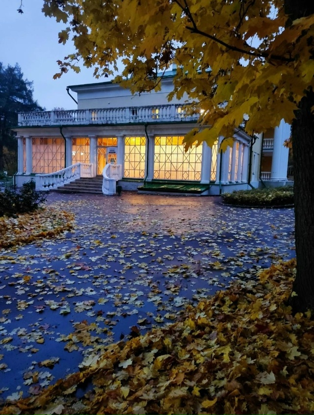 Осенняя сказка 🍁