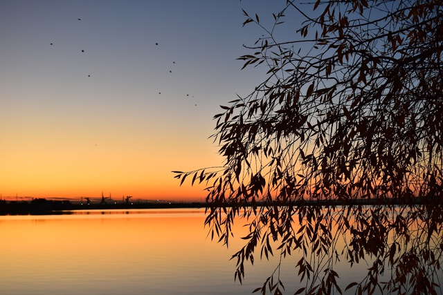 Спокойной ночи 🌙
Фото: Андрей Колегов