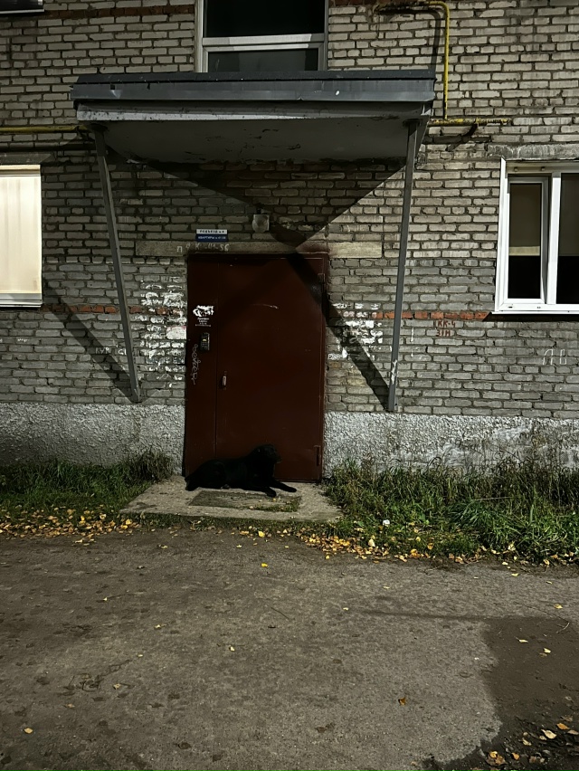 Вы видите охранника? Нет? Я тоже не вижу, а он есть.
#Я_те...