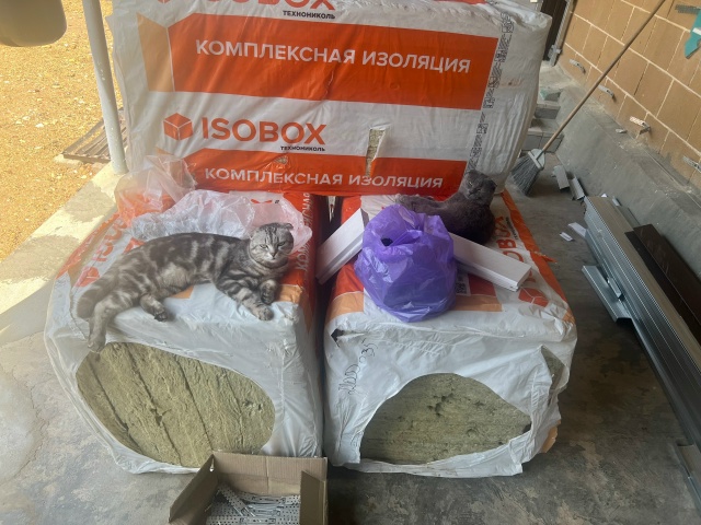 Пропал кот , на улице Горбунова-Бочарникова
Номер для с...