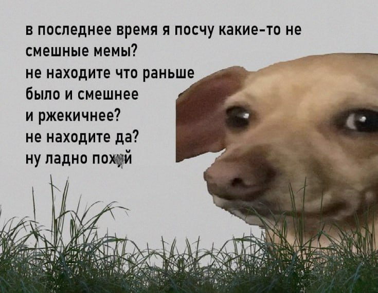 Ночная подборочка
Выходные, не спим