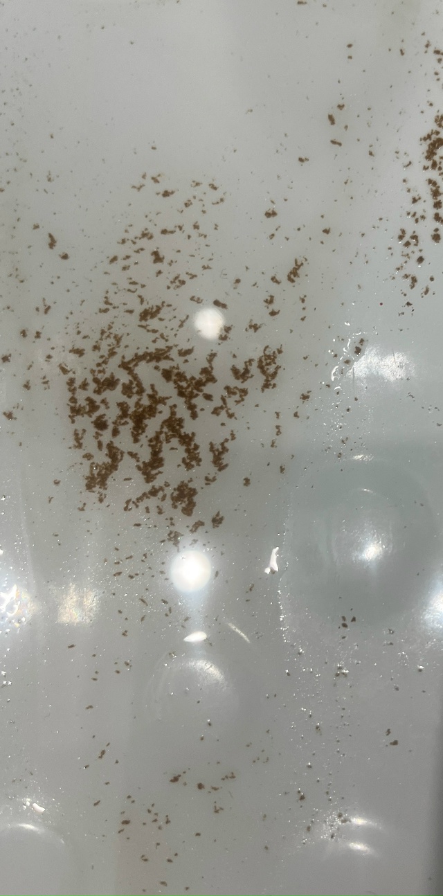 анон, что с водой в городе? (на фото осадок после воды)