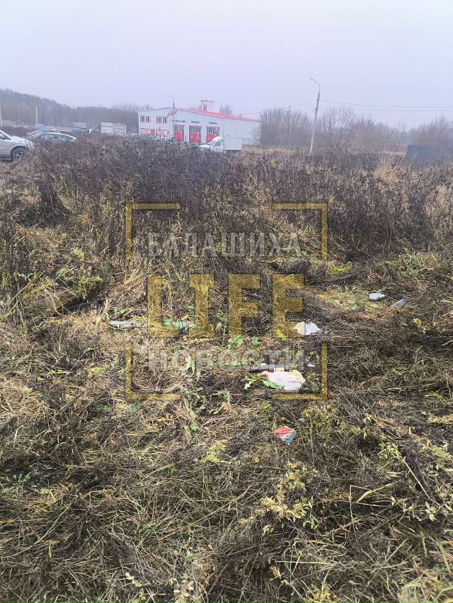 Наверное, нет смысла просить? Но все же, ребят, кто став?...