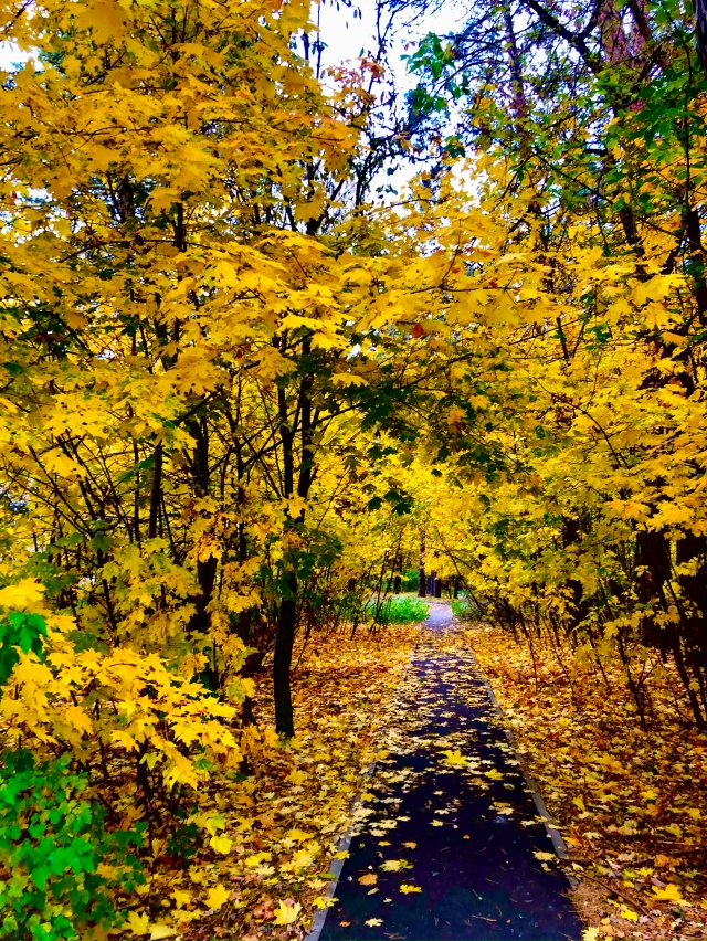 Осень в Протвино 🍁🍁🍁