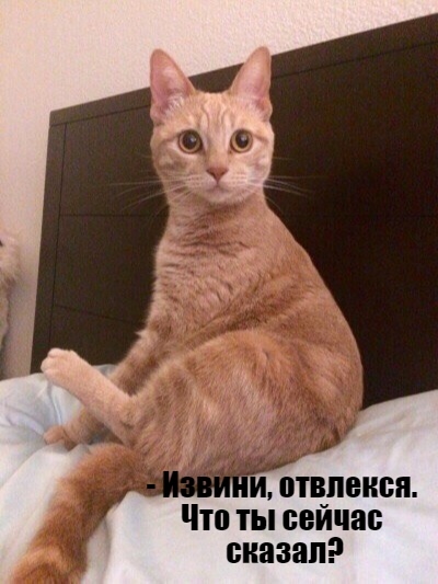 😂😂😂