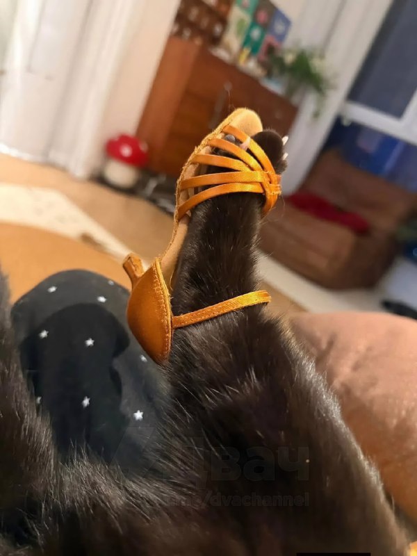 Дамы и господа, вот что значит стиль