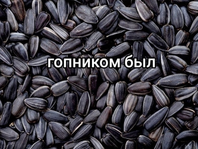 Жизненный опыт