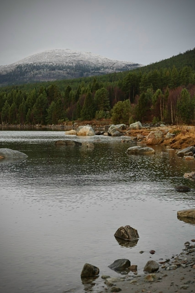 Красивое начало ноября.
Фото: [id1430345|Елена Серикова]