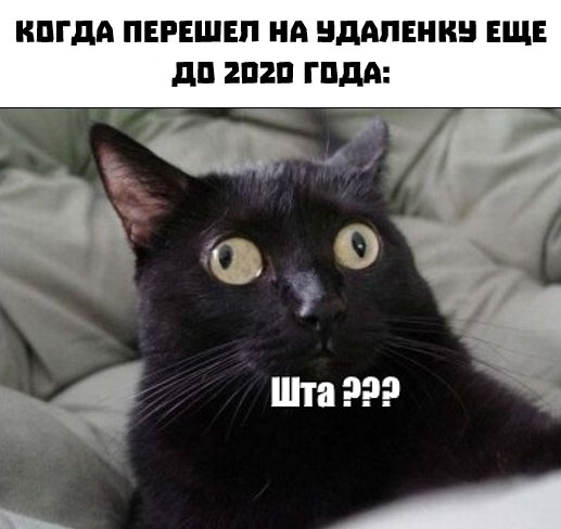 📉 Российские фрилансеры и удаленщики заметно теряют ?...