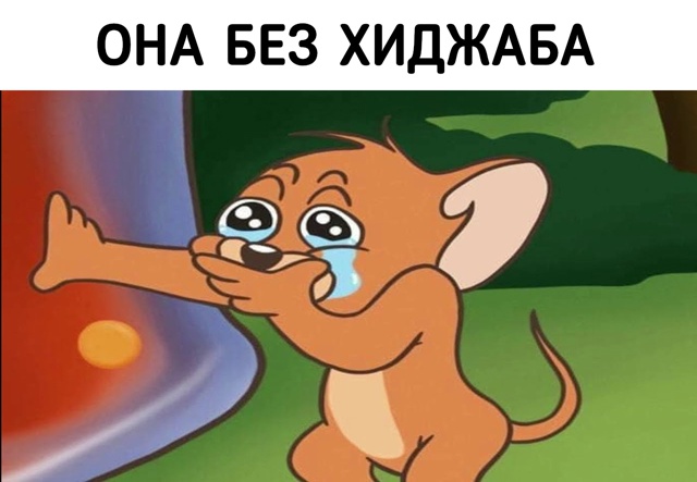 Она без хиджаба: модерация Steam отказалась публиковать ?...