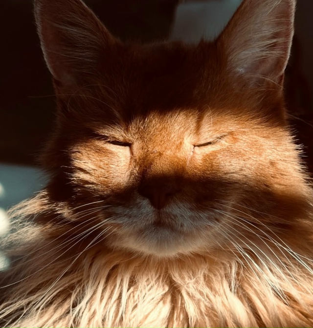 Вот они настоящие солнечные батареи зимой😍