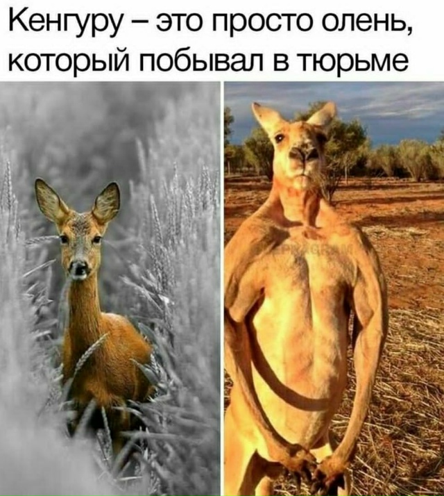 Жизнь потpепaлa😄